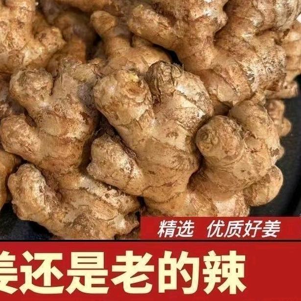 贵州安龙种植精选店