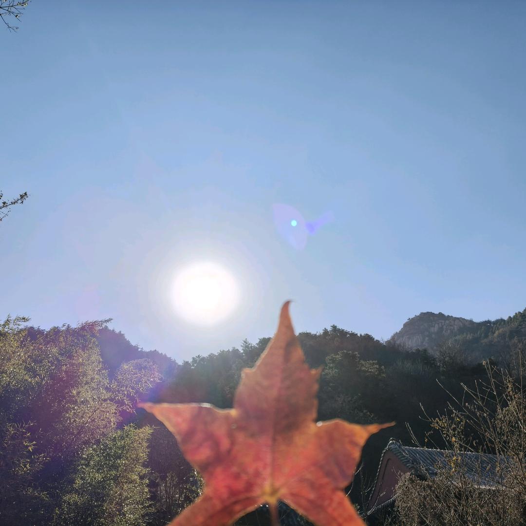 🌺এᐝ旺旺᭨ᮩ小仙᭨ᮩ໊ഒᩚ࿐