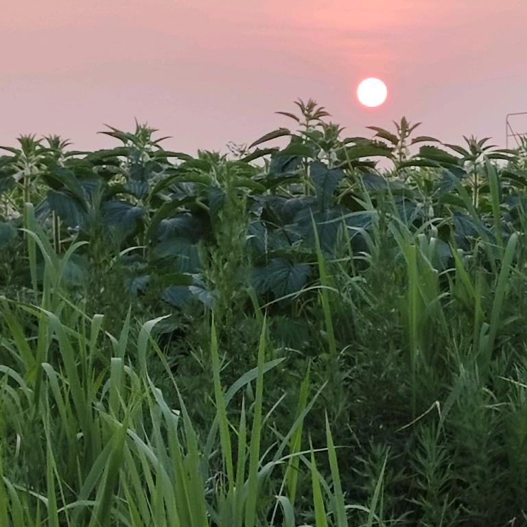 一切都郝🐂拒聊