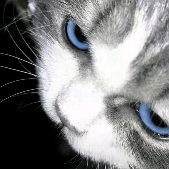 找个甜妹当老婆