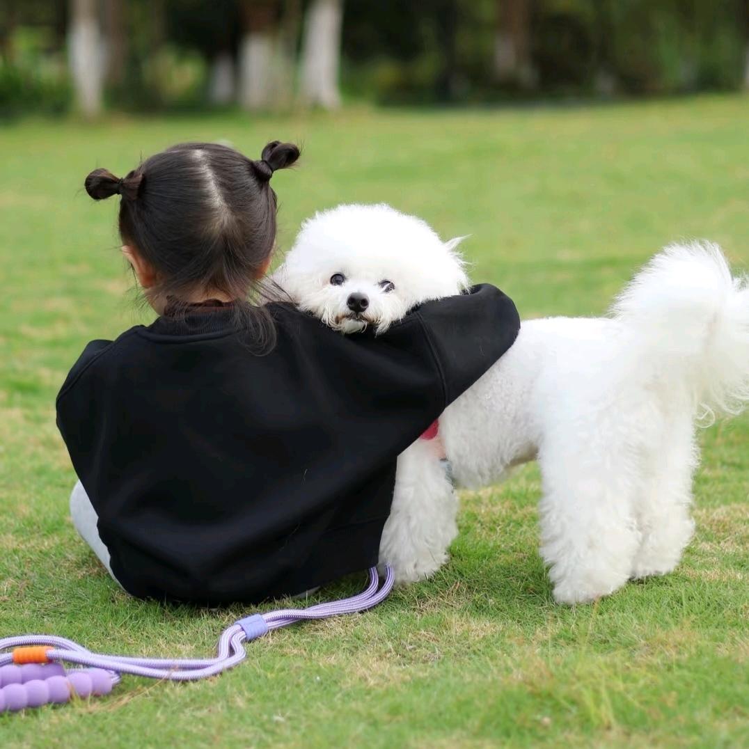 菇茑家比熊管理员