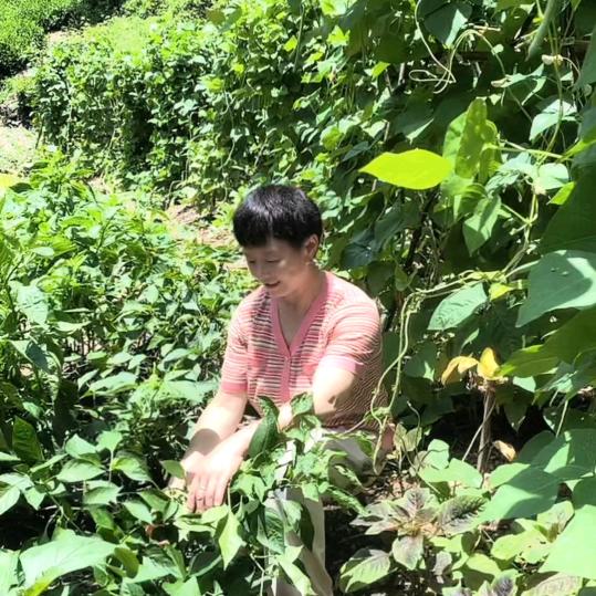 洪大姐