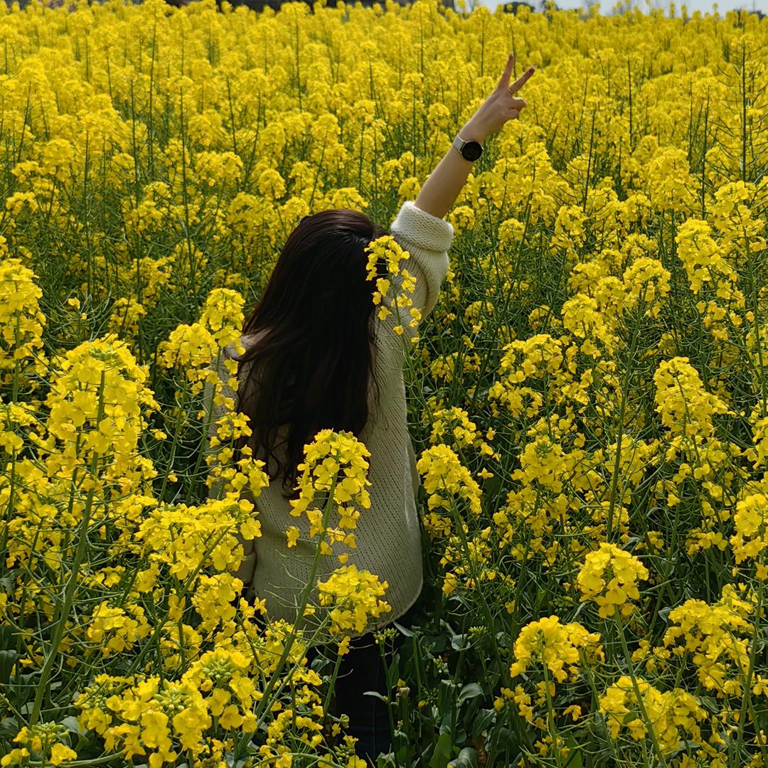 七七🎈🐰🐰🐰