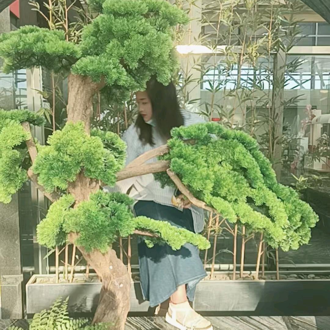 日出😀😀😌