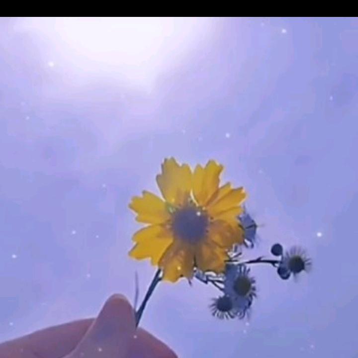 平安是福。