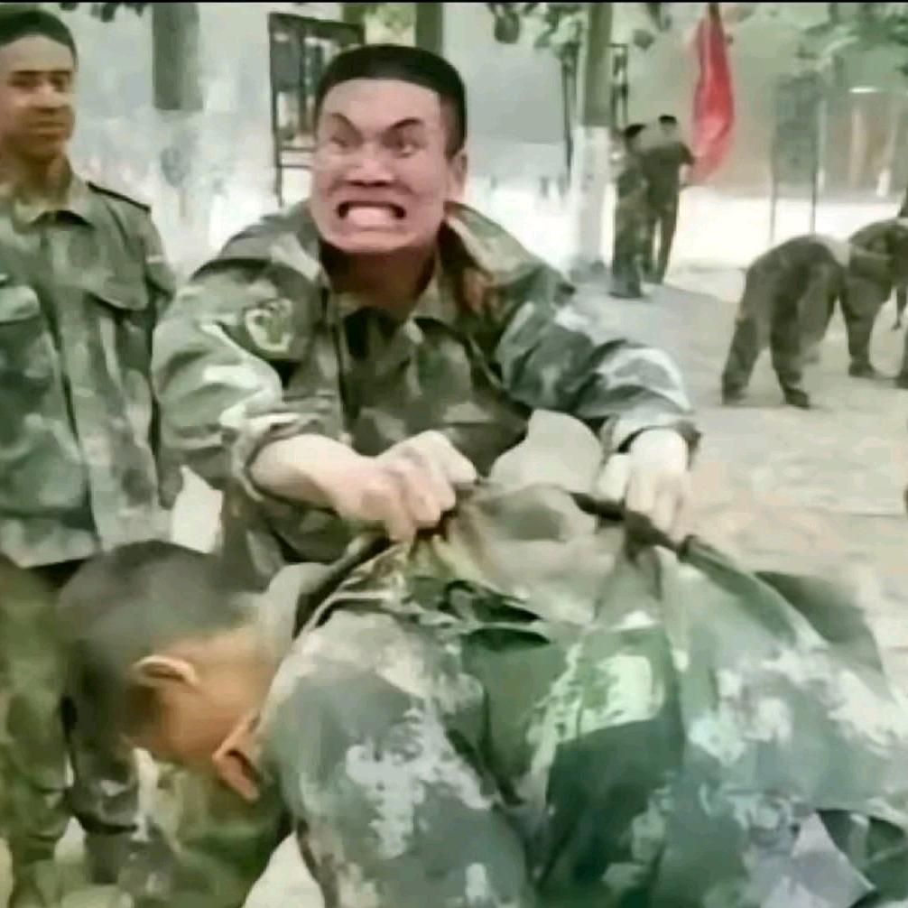 哈基盾有什么错