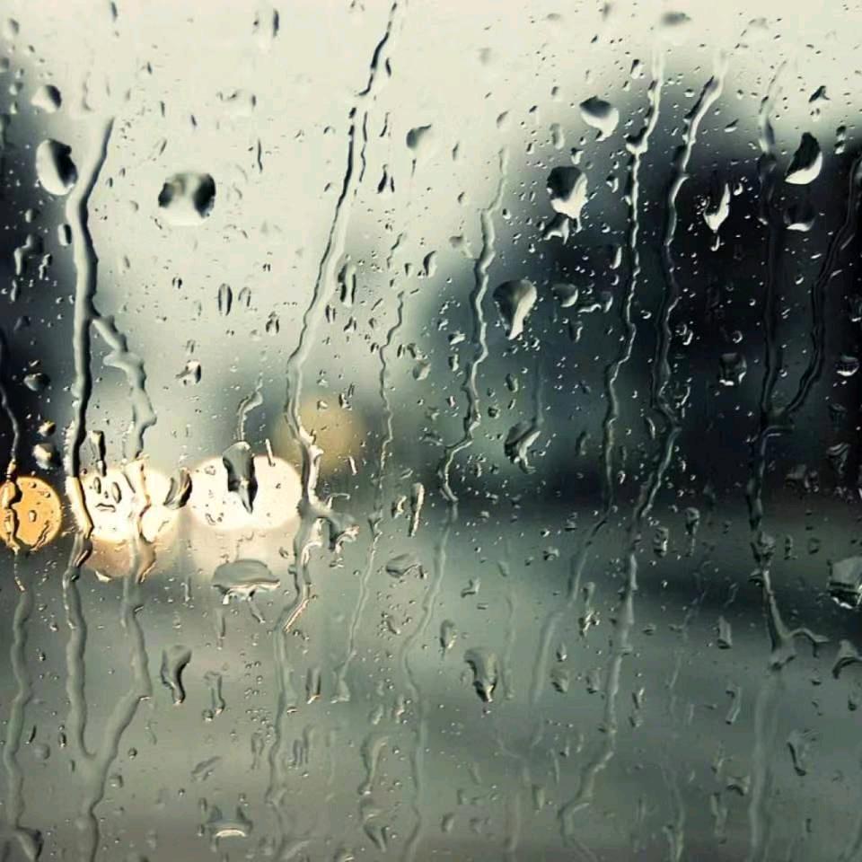 相逢即是遇见。酒