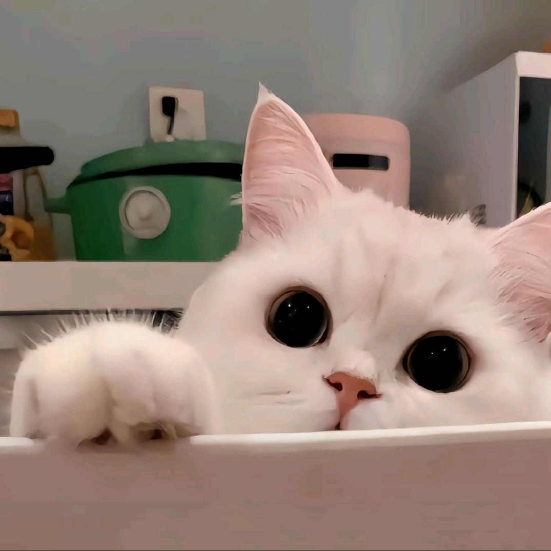 小雨