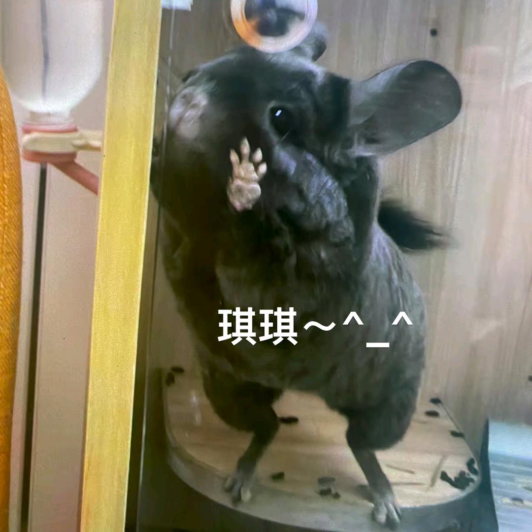 我是小辣椒呀～