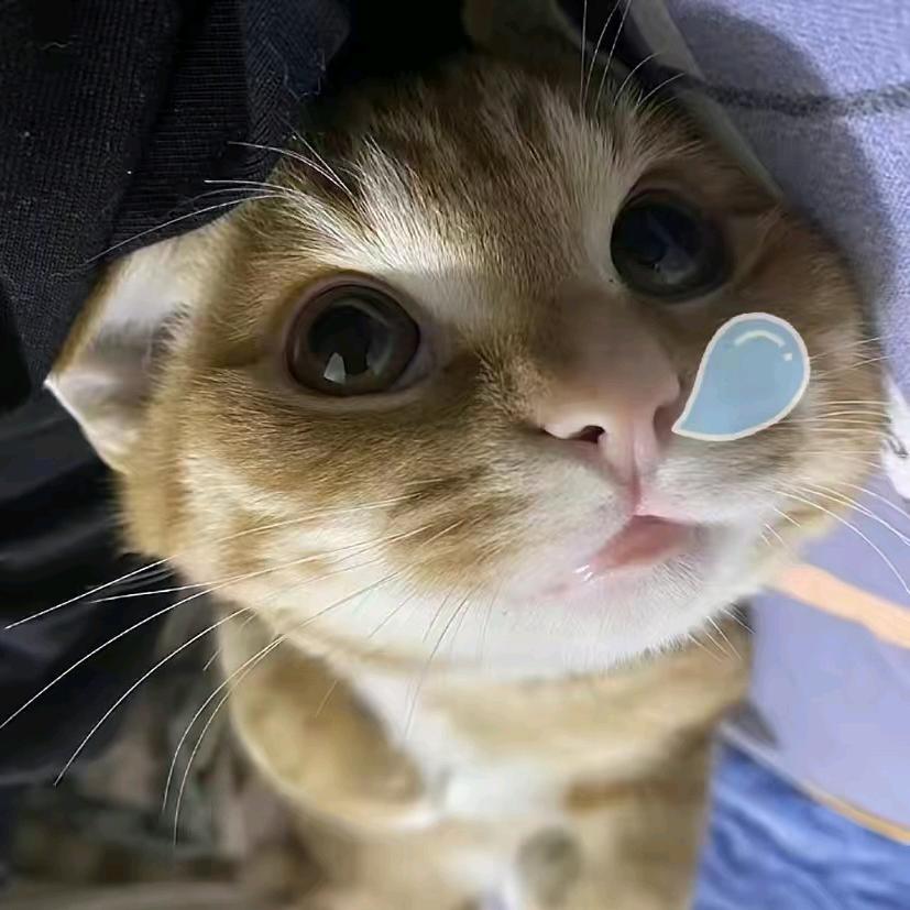 故花