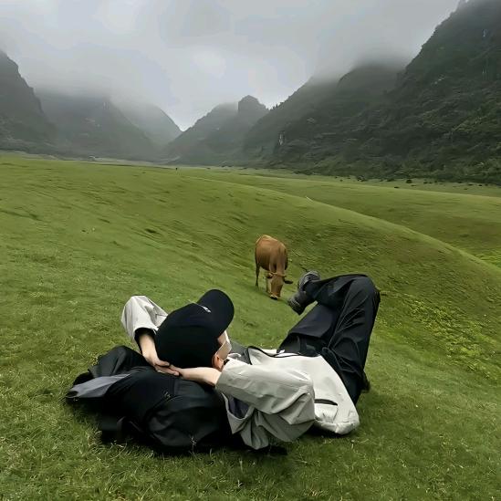 助力乡村振兴