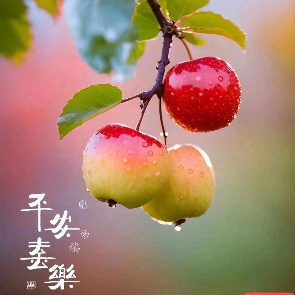 🥀এ᭄余ꦿ生🍒🍒随心ོ࿐ᩚ