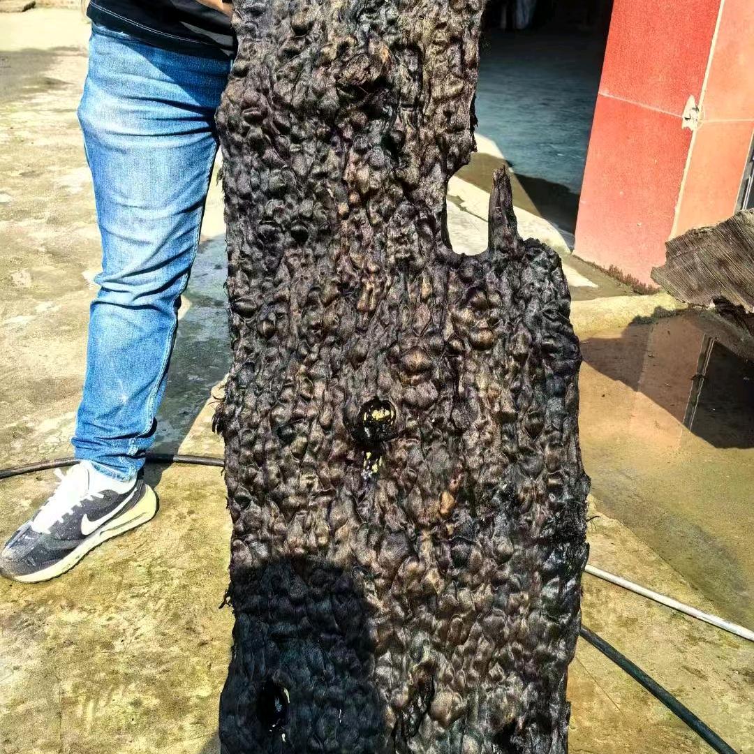 没感情分离？