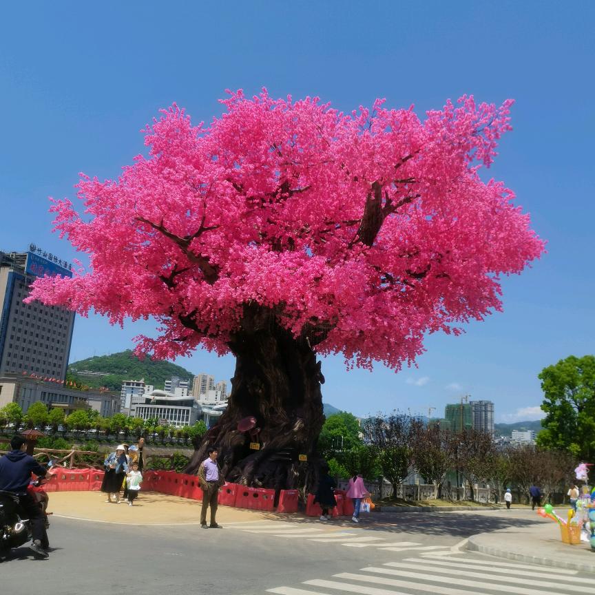 🍀興隆🌸🌸
