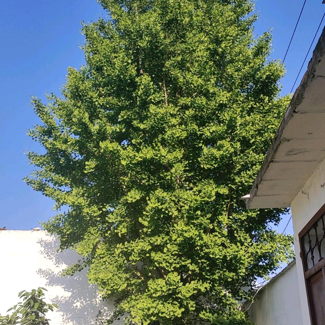 不忘初心，牢记使命