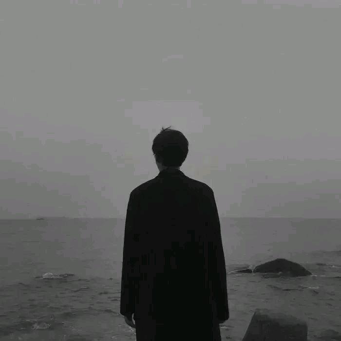 口袋斗罗 杨阳