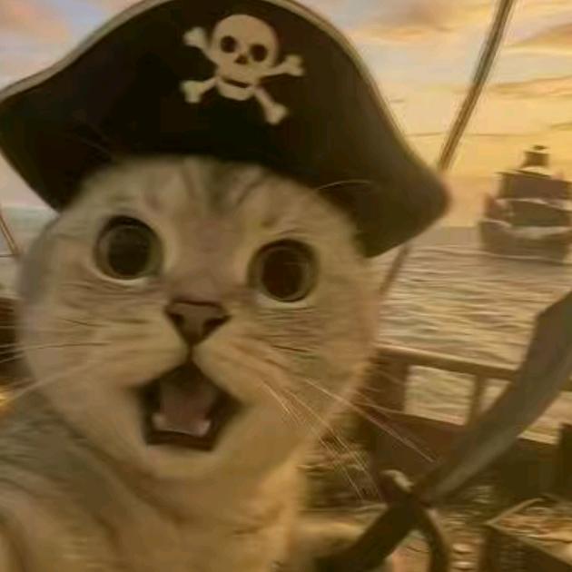 2024十一月12  ？46分钟