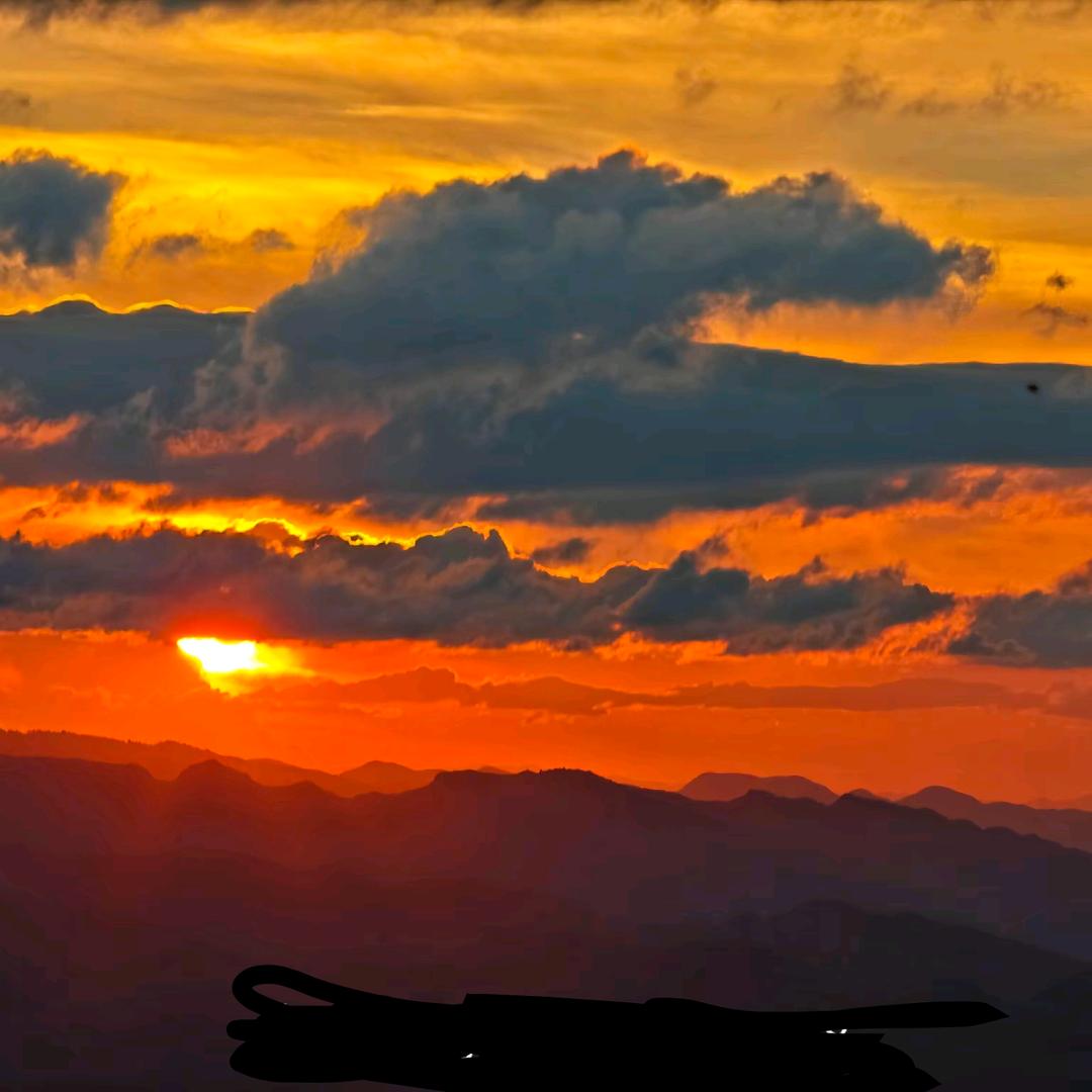 放过你，也放过我自己