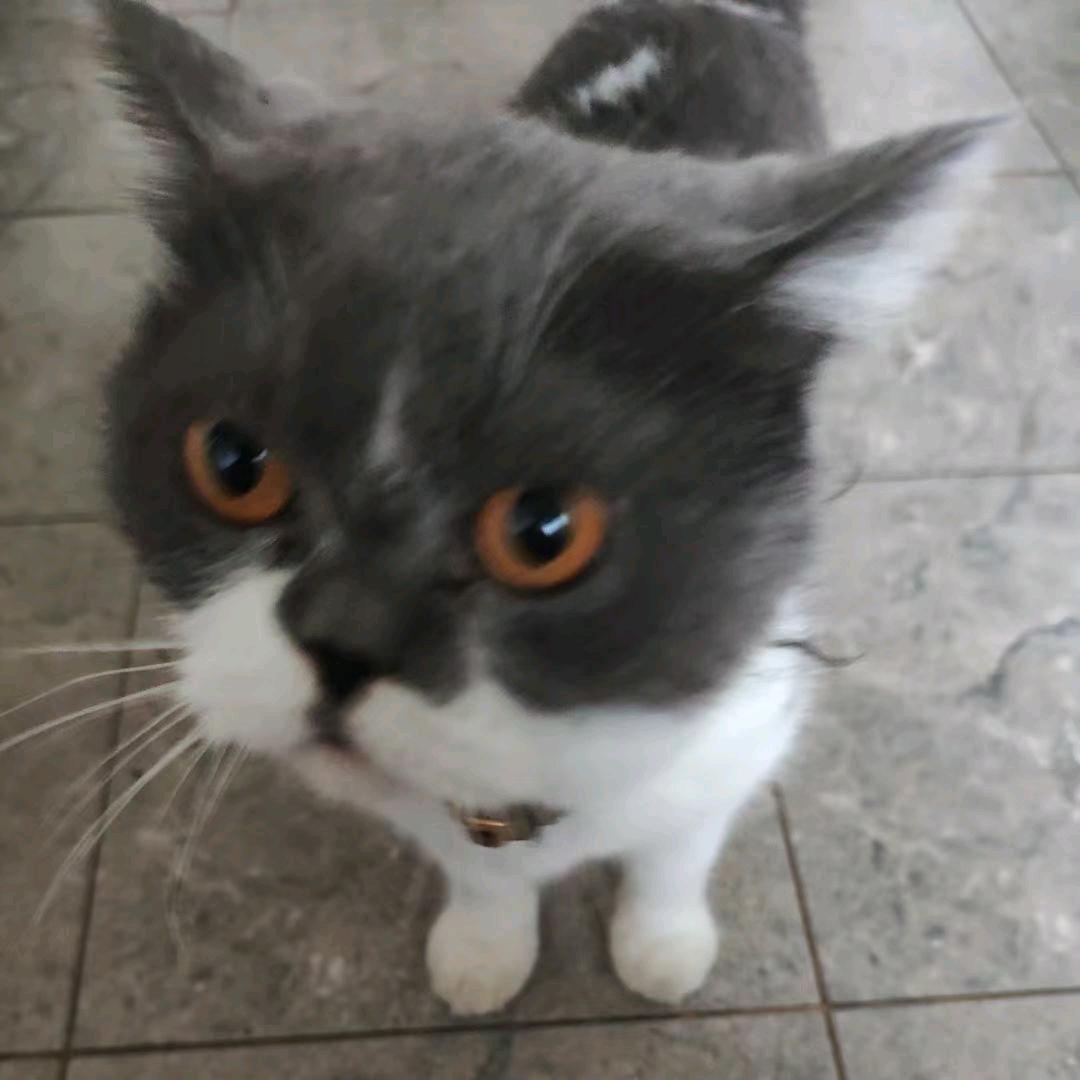 然后是开心(∩_∩)