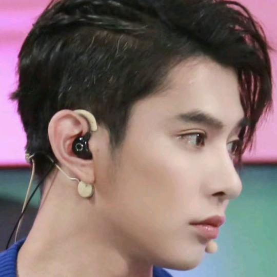 Aries（被fjy翻过牌子版）