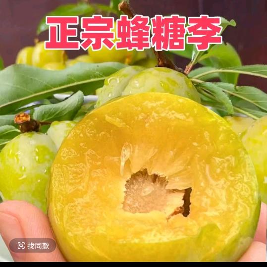 蜂糖李之乡