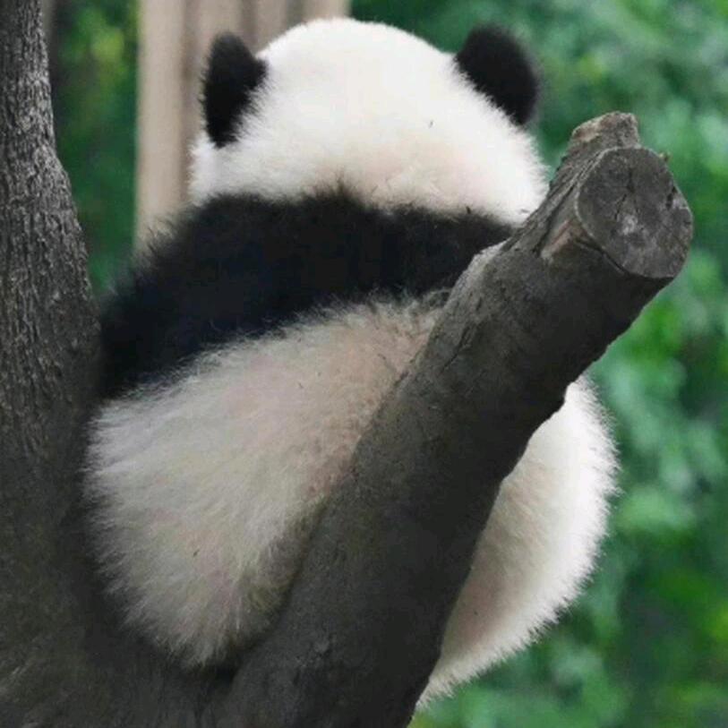 用户，。