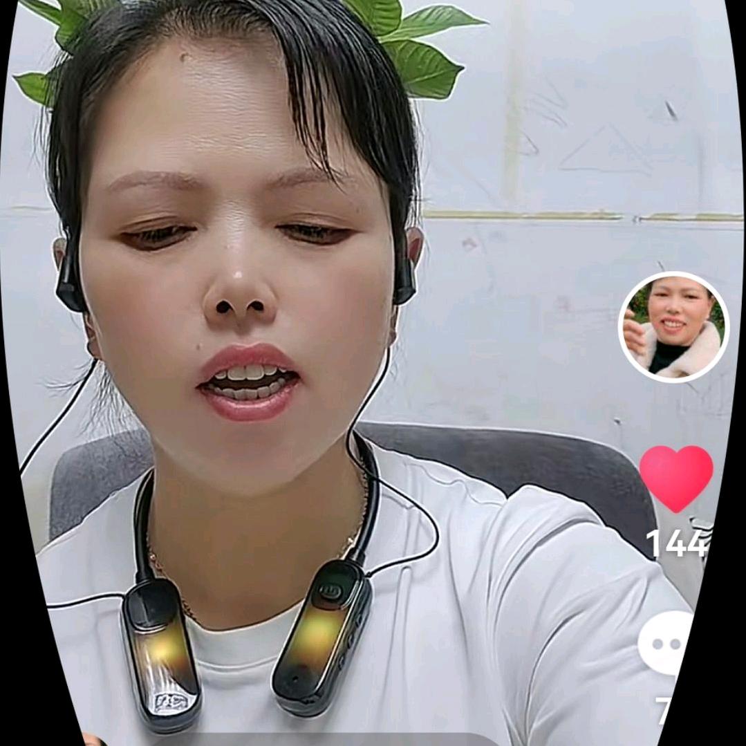 显菊（1）下午6.30