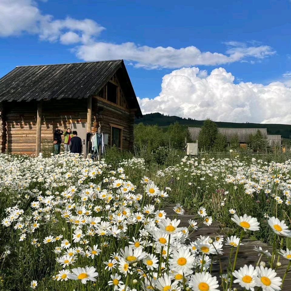 abc（洲瓦双修版）