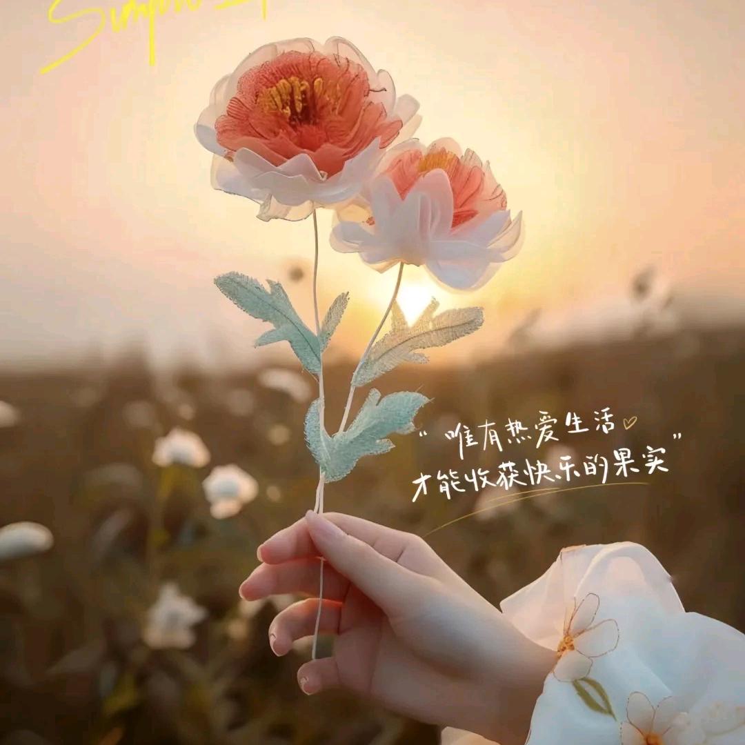 এ᭄浅笑不语꧔ꦿ᭄