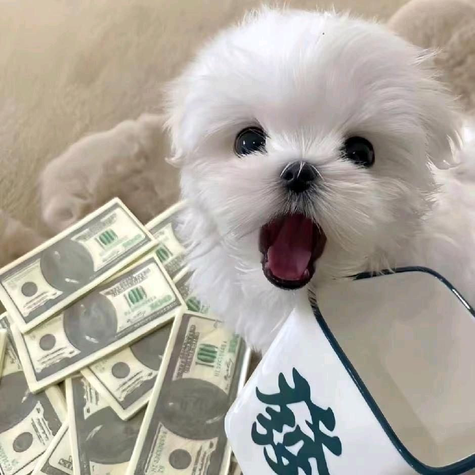 唱月