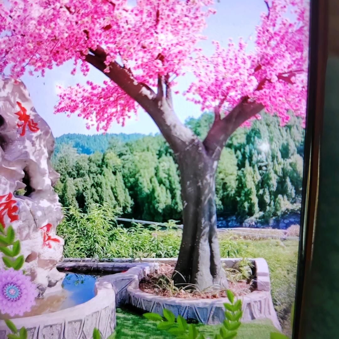 老了要把自己照顾好