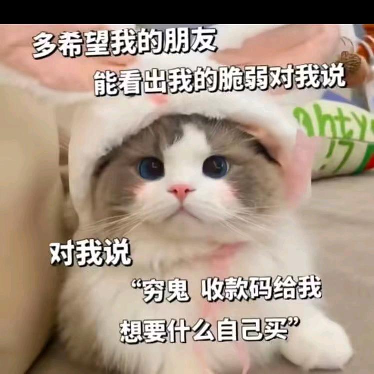 欢欢文具百货