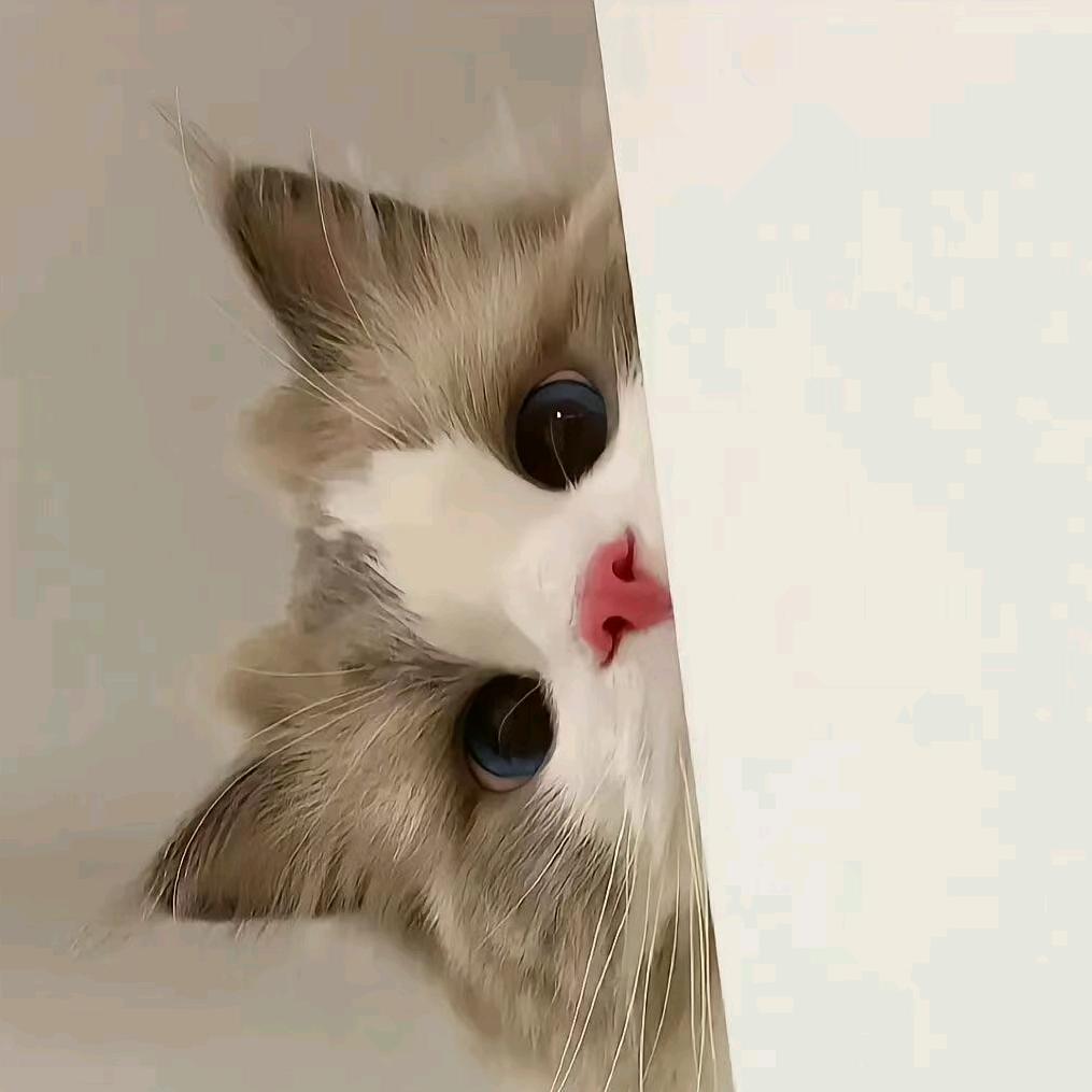 小锦儿