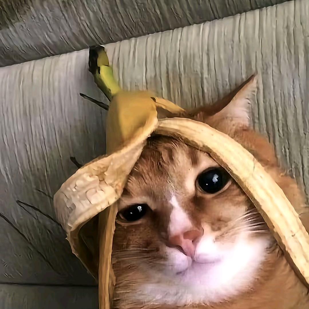 发发来啦