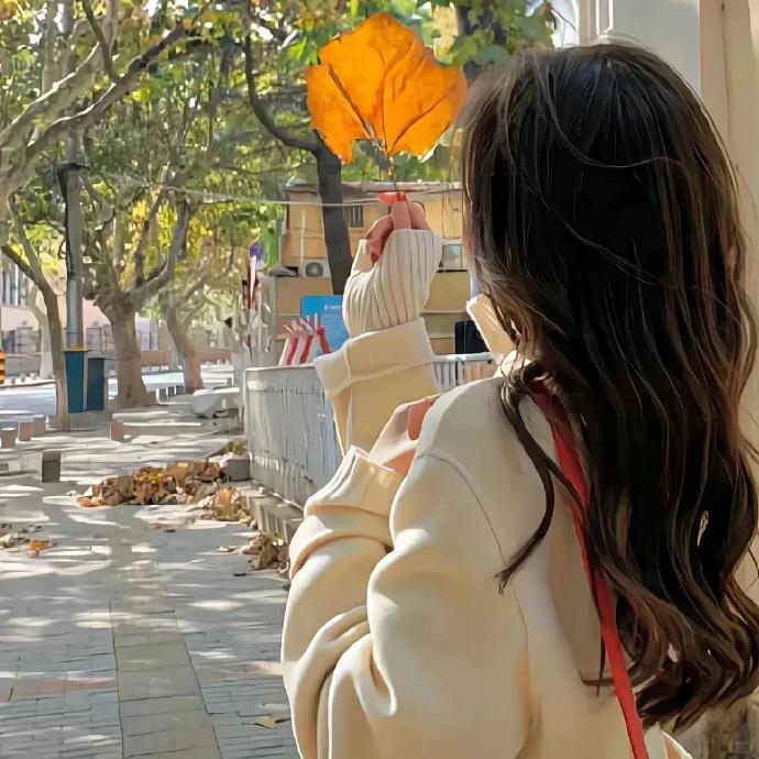 小圆挖到宝了✨