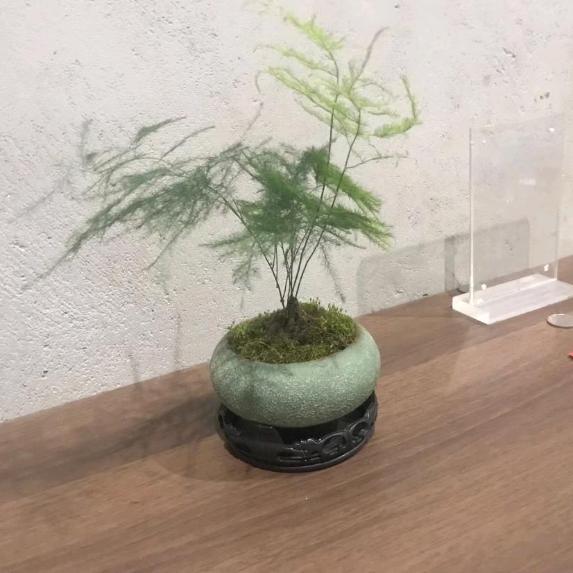 指导员
