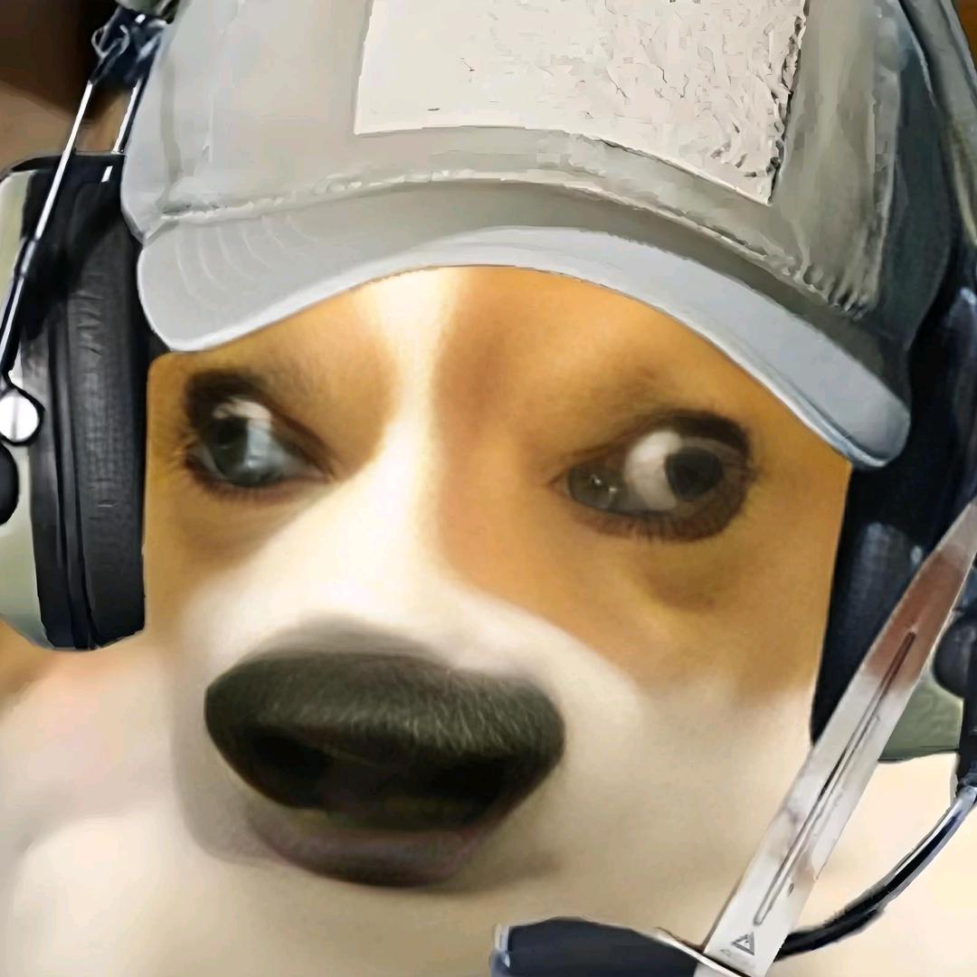 哈基蜂蜜（三角洲行动）