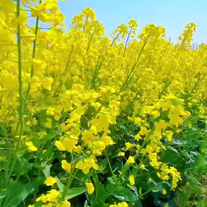 钞难头像