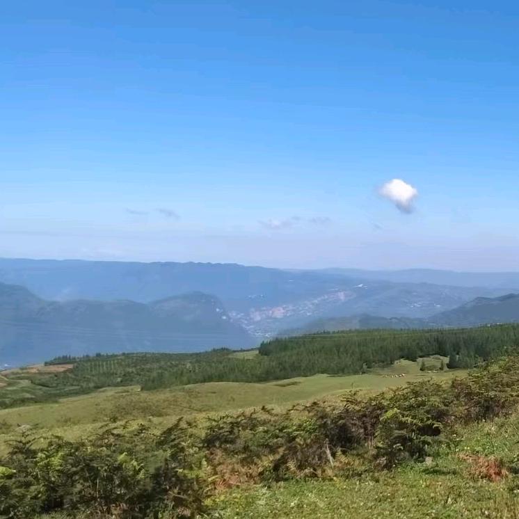 心有阳光
