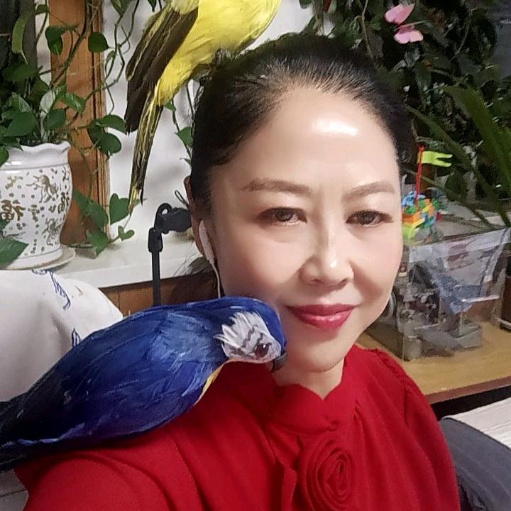 凤芝姐(晚上6点30分首播)