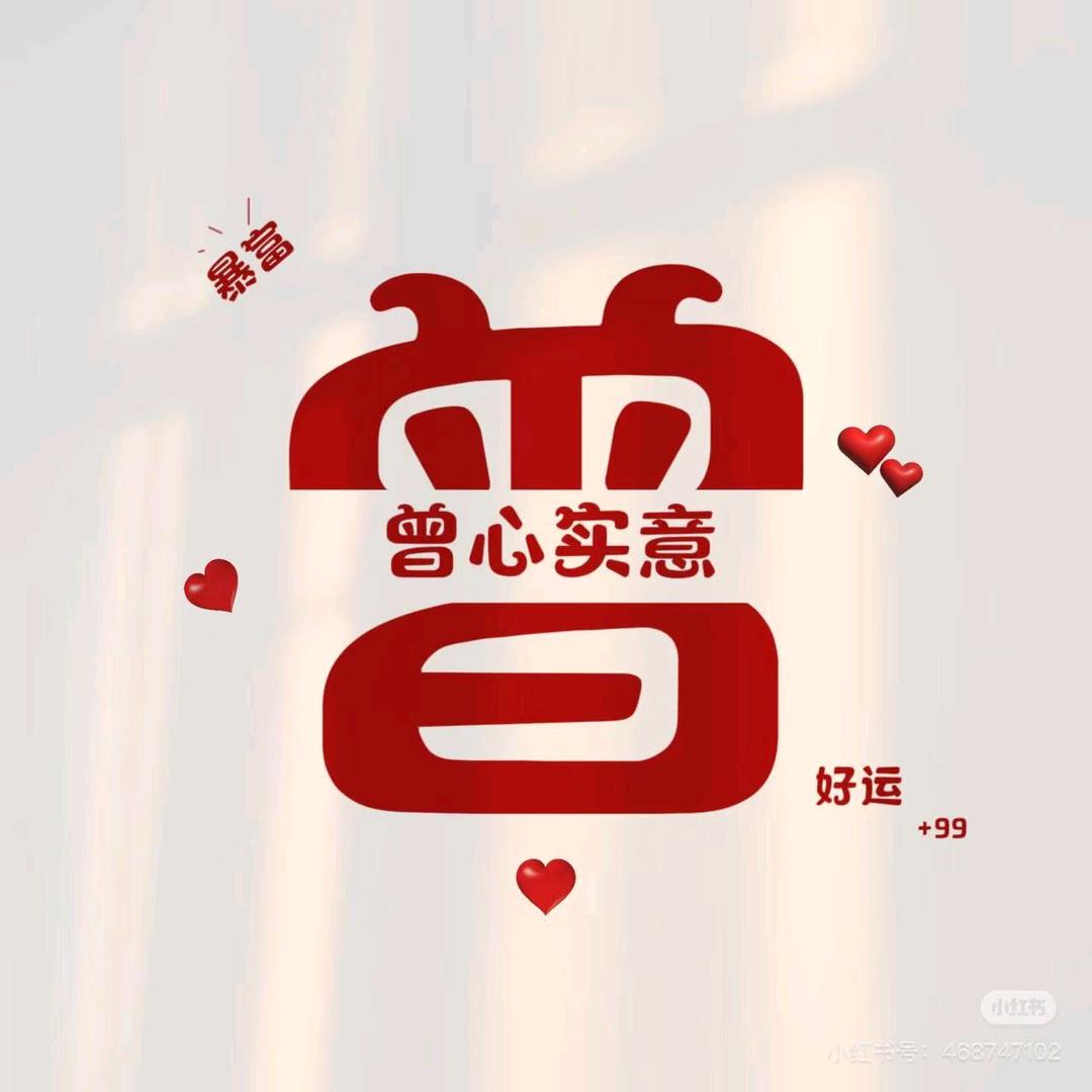 曾心实意
