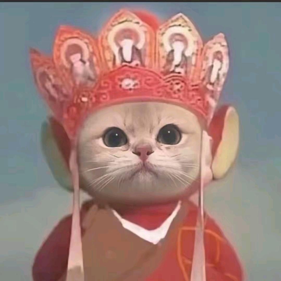 潘小宝🐛