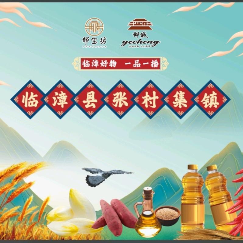 临漳县张村集镇一品一播