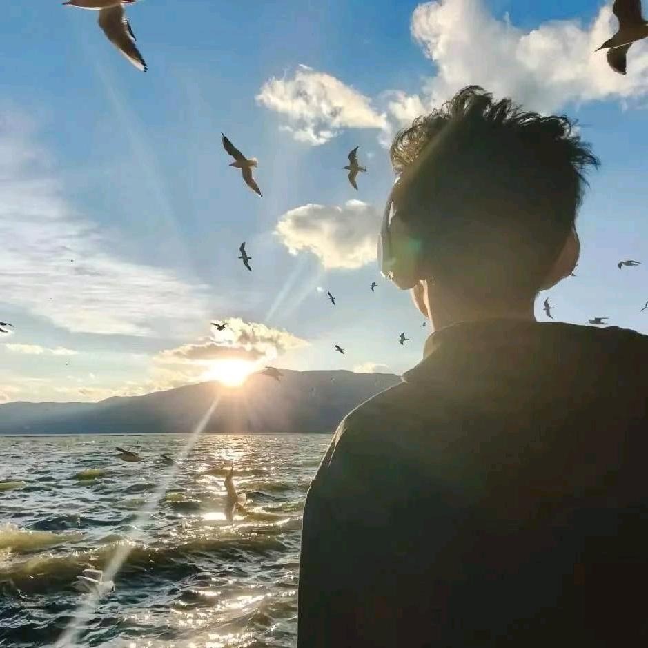 疯狂的小石头后面