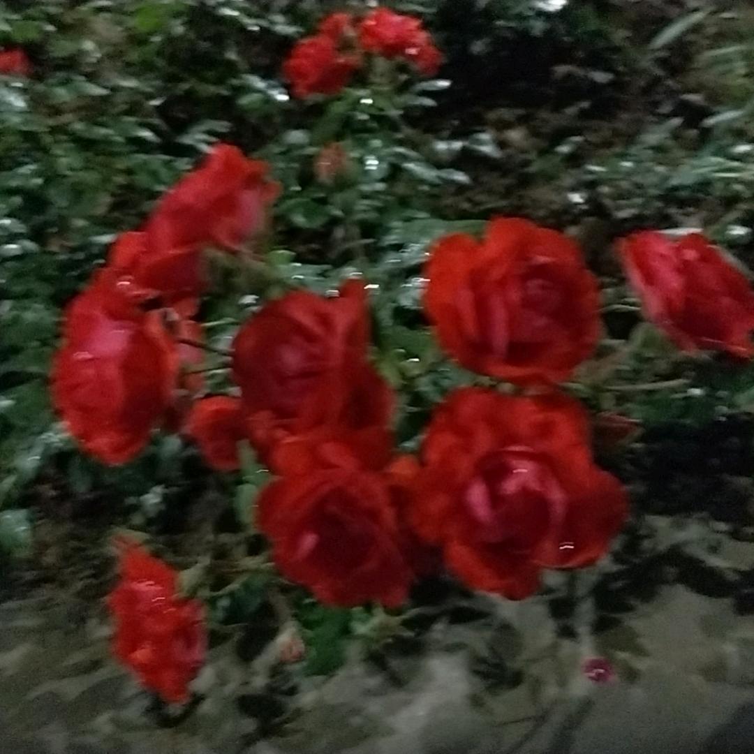 🌈简单快乐💕