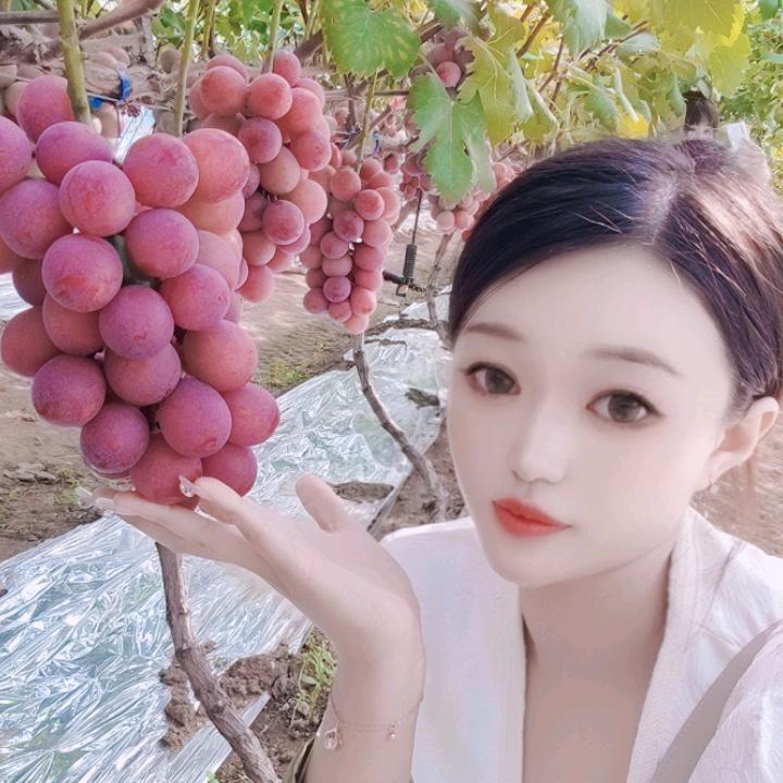 小雪葡萄苗木