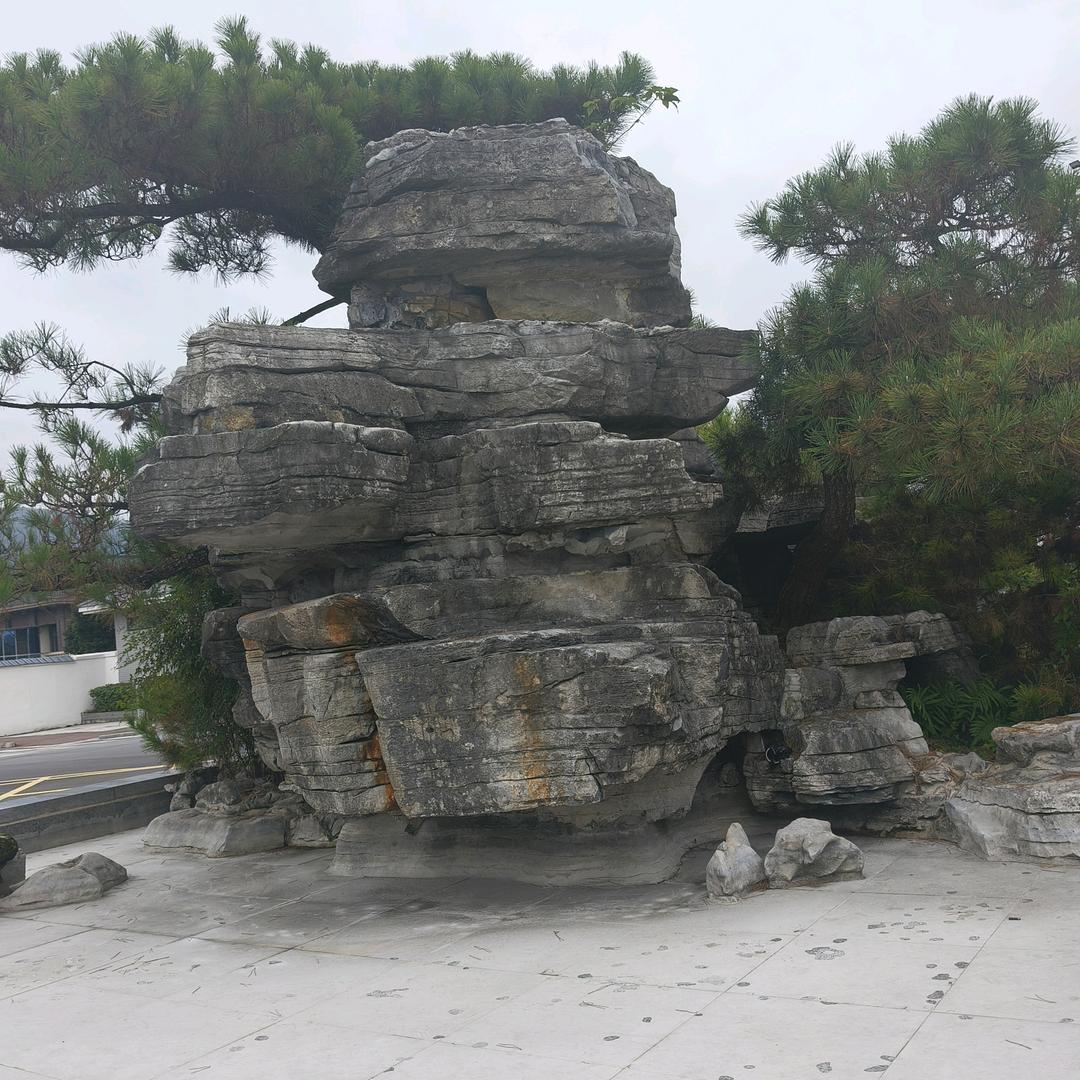 天若有情天亦老