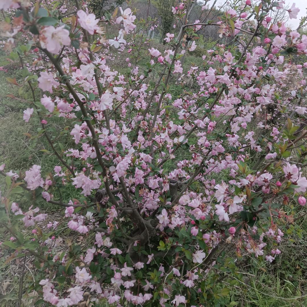 奇缘