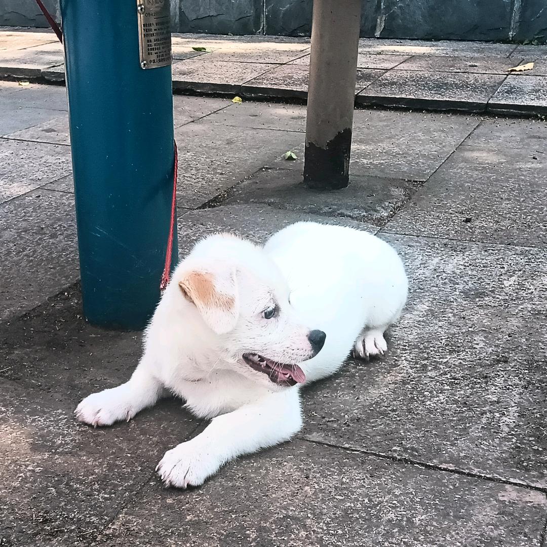 源头厂家