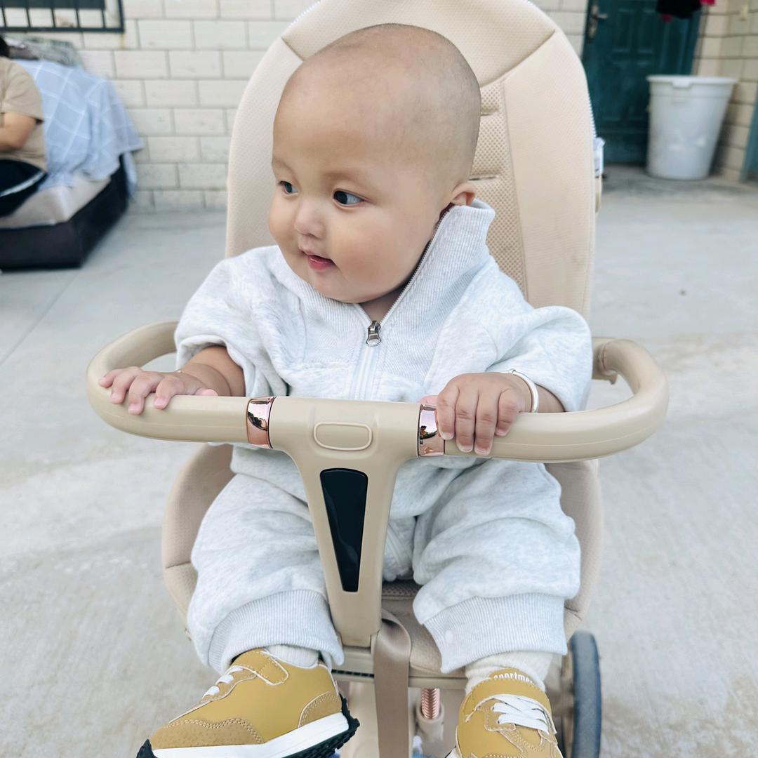 小石头爸爸👨🏻